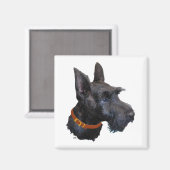 Kopstudie van Schotse Terrier Magneet (Voorkant / Achterkant)