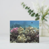 Koraal, Agincourt Reef, Great Barrier Reef Briefkaart (Staand voorkant)