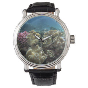 Koraal, Agincourt Reef, Great Barrier Reef, Horloge