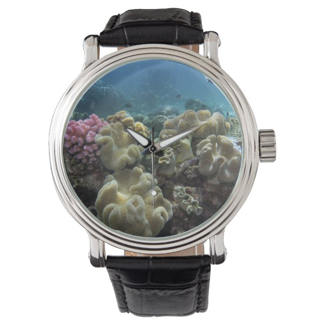 Koraal, Agincourt Reef, Great Barrier Reef Horloge (Voorkant)