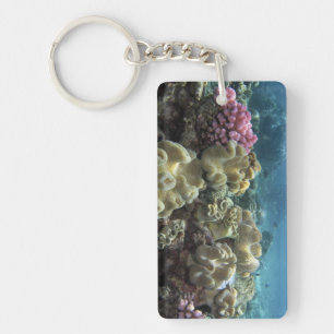 Koraal, Agincourt Reef, Great Barrier Reef, Sleutelhanger