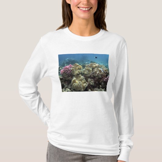 Koraal, Agincourt Reef, Great Barrier Reef T-shirt (Voorkant)