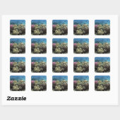 Koraal, Agincourt Reef, Great Barrier Reef, Vierkante Sticker (Vel)