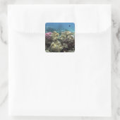 Koraal, Agincourt Reef, Great Barrier Reef, Vierkante Sticker (Tas)
