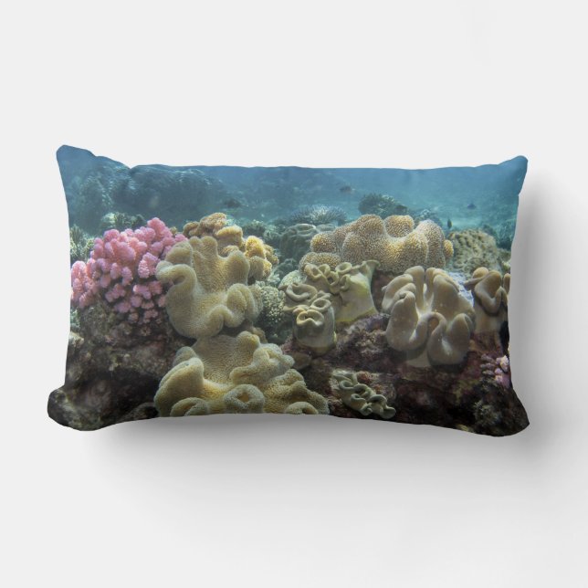 Koraal, Agincourt Reef, Groot Barrièrerif, Kussen (Voorkant)