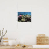 Koraal, Agincourt Reef, Groot Barrièrerif, Poster (Keuken)