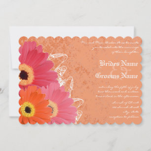 Koraal en Oranje Gerber Daisy Wedding Invitation Kaart