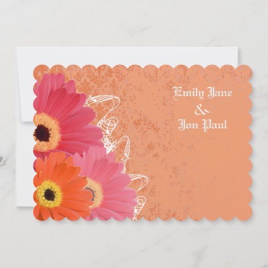 Koraal en Oranje Gerber Daisy Wedding Invitation Kaart (Achterkant)