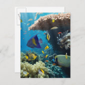Koraal en vis in het Rode Zee, Egypte Briefkaart (Voorkant / Achterkant)