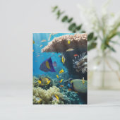 Koraal en vis in het Rode Zee, Egypte Briefkaart (Staand voorkant)