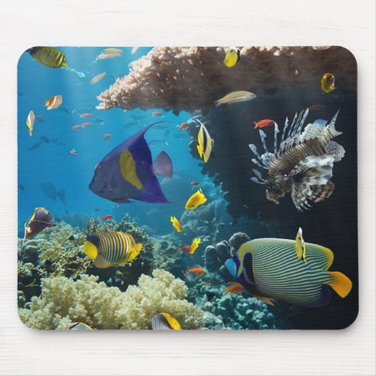 Koraal en vis in het Rode Zee, Egypte Muismat (Voorkant)