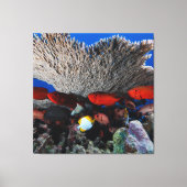 Koraal en vis muur decor canvas Print (Voorkant)