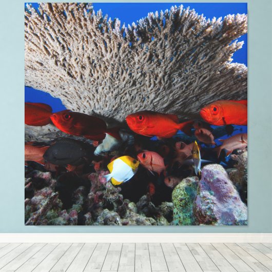 Koraal en vis muur decor canvas Print (Insitu (Houten vloer))
