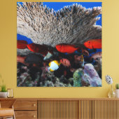 Koraal en vis muur decor canvas Print (Insitu (Woonkamer))
