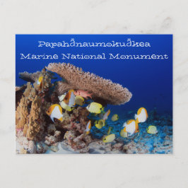 Koraal en Vis, Parel en Hermes Atoll Briefkaart
