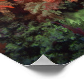 Koraal en vis poster (Hoek)