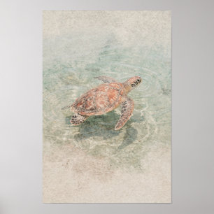 Koraal en Zee-Glas Zeeschildpad Kust Wandkunst Poster