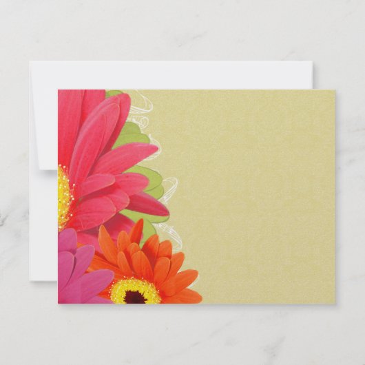 Koraal Fuchsia Aubergine Gerber Daisy bedankje Bedankkaart (Achterkant)