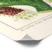 Koraal, Great Barrier Reef  poster ポ タ ー (Hoek)