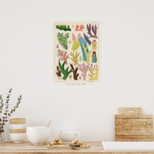 Koraal, Great Barrier Reef poster ポ タ ー (Keuken)