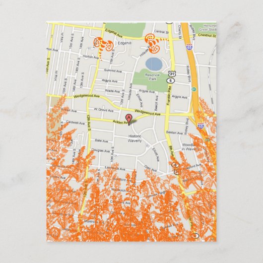 Koraal & Grijze Bloem Bee Behuizing Kaart (Achterkant)