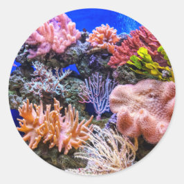 Koraal in een Saltwater Aquarium Ronde Sticker