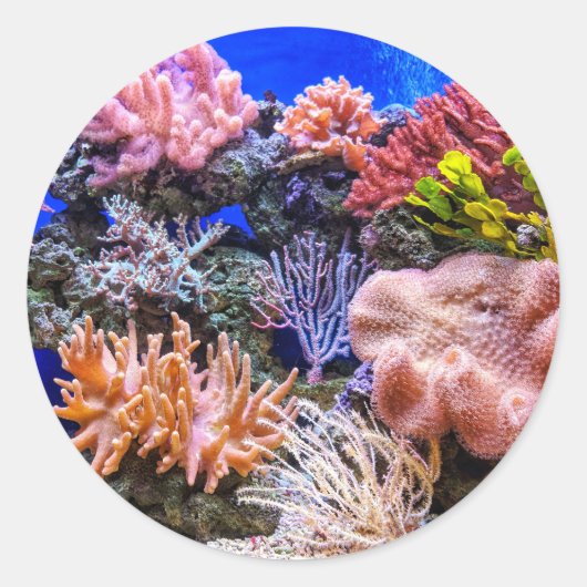 Koraal in een Saltwater Aquarium Ronde Sticker (Voorkant)