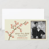 Koraal/ivory Cherry Blossom Sparen de Datum Fotoka Save The Date (Voorkant / Achterkant)