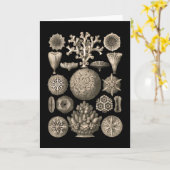 Koraal Kaart (Gele Bloem)