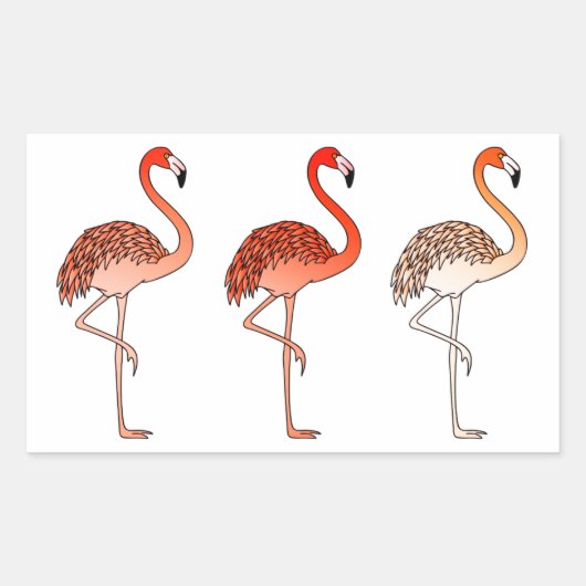 Koraal Kleur Flamingo's Rechthoekige Sticker (Voorkant)