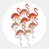 Koraal Kleur Flamingo's Ronde Sticker (Voorkant)