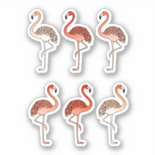 Koraal Kleur Flamingo's Sticker