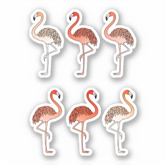 Koraal Kleur Flamingo's Sticker (Voorkant)