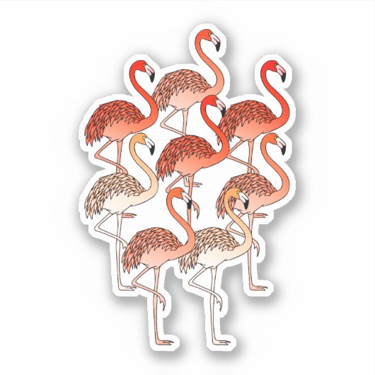 Koraal Kleur Flamingo's Sticker (Voorkant)