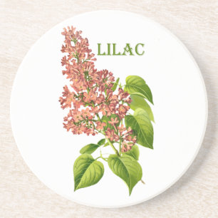  Koraal Lila Spring Garden Flower Zandsteen Onderzetter