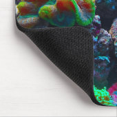 Koraal Muismat (Hoek)