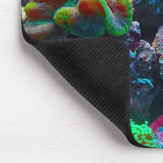 Koraal Muismat (Hoek)