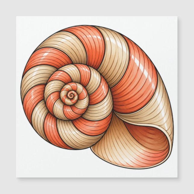 Koraal Nautilus (Voorkant)