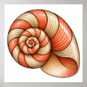 Koraal Nautilus Poster (Voorkant)