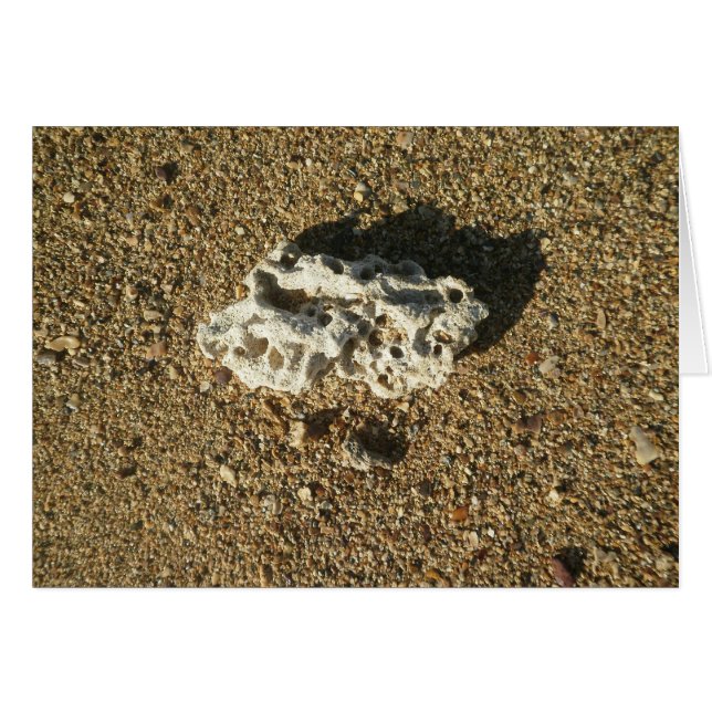 Koraal op de zand (Voorkant Horizontaal)