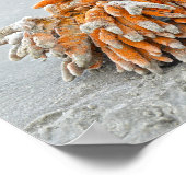 Koraal op het strand, Kiawah-eiland Poster (Hoek)