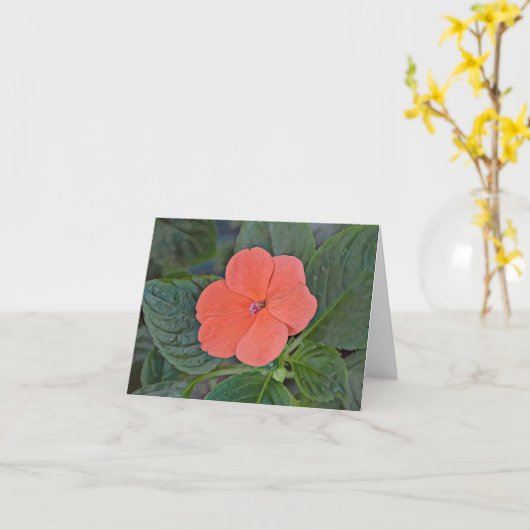 Koraal Oranje Begonia Flower van Gertie's Garden Kaart (Gele Bloem)