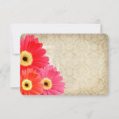 Koraal Oranje Roze Gerber Madelief Bruiloft Uitnod RSVP Kaartje (Achterkant)