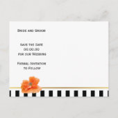 Koraal papavers en strepen bruiloft Save the Date Aankondigingskaart (Achterkant)