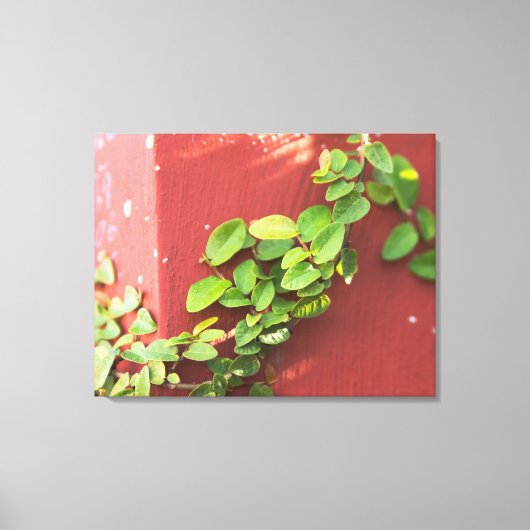 Koraal papier/canvas afdrukken (Voorkant)