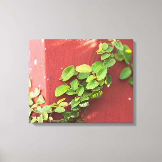 Koraal papier/canvas afdrukken (Voorkant)