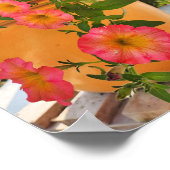 Koraal Petunia's in een Pot Poster (Hoek)