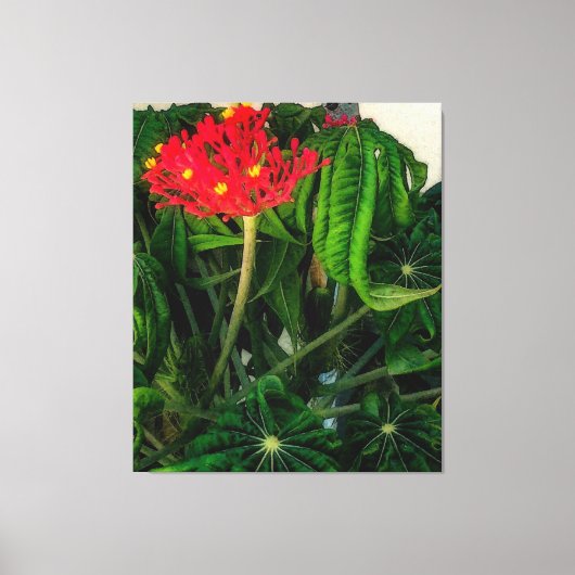 Koraal Plant bladeren en bloemen Canvas Afdruk (Voorkant)