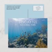 Koraal, Planten, Vis, Biscayne National Park, FL Briefkaart (Voorkant / Achterkant)