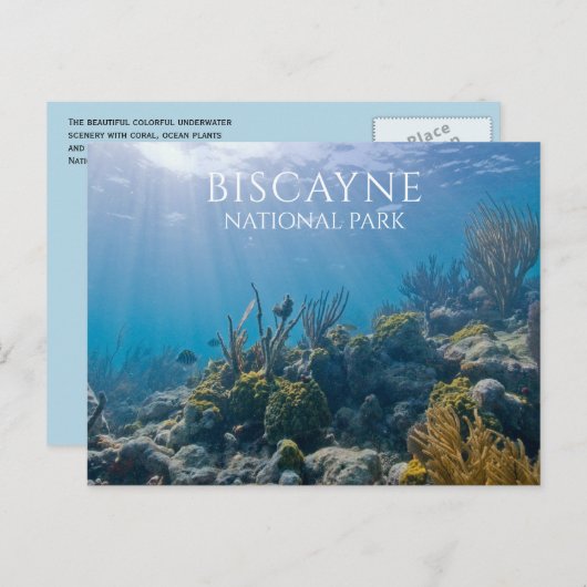 Koraal, Planten, Vis, Biscayne National Park, FL Briefkaart (Voorkant / Achterkant)